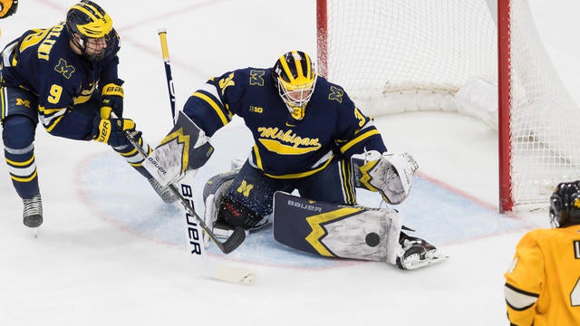 notre dame ice skating