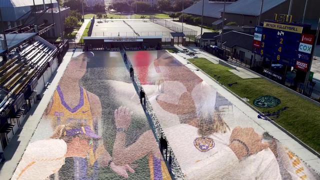 lsu-0dbbe6a6-43dd-465b-81b3-bd70e32eec48.jpg