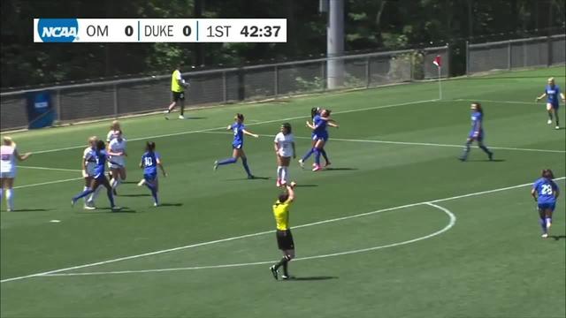 duke-d2b441f4-43b6-4605-b801-cc7b3783ace8.jpg