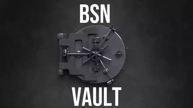 bsn-vault-thumbnail.webp