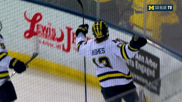 umichigan-3f8ecbcb-f910-4f4d-baa7-0760249de5c6.jpg