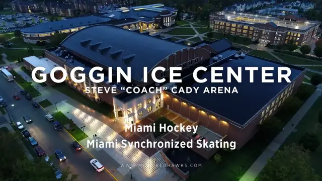goggin.webp