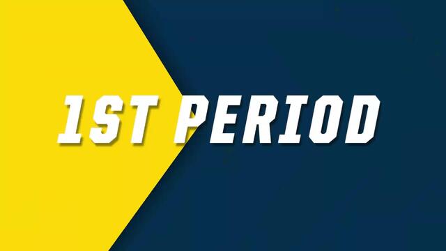 umichigan-4f407f38-efe3-4a2c-9247-8af7933ddb73.jpg